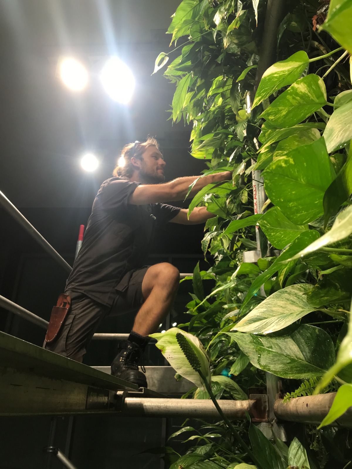 Plant maintenance service